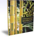 Ornamental Bamboos (  -   )